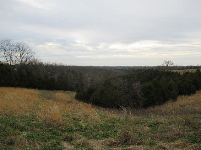 1234 Hyatt Road Lawrenceburg, KY 40342 - Photo 4 of 29 Photo 4
