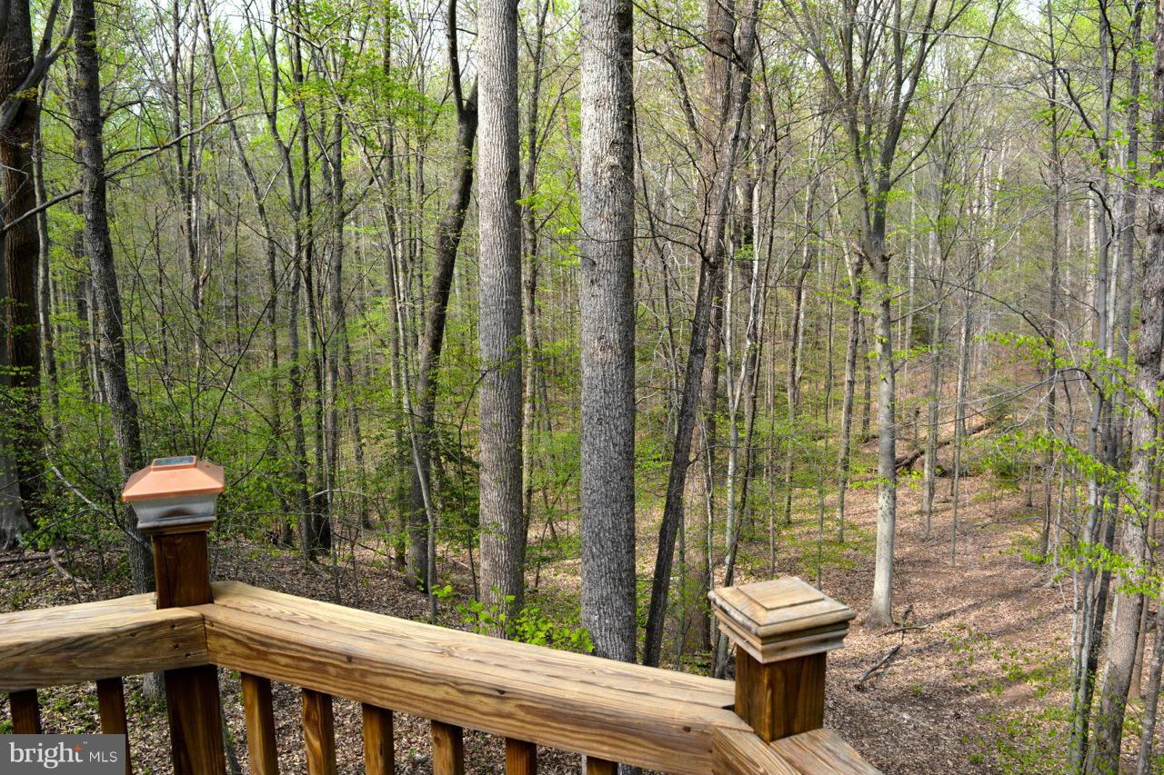 12363 Hunters Grove Road Manassas, VA 20112 - Photo 24 of 30 Exterior (Rear)