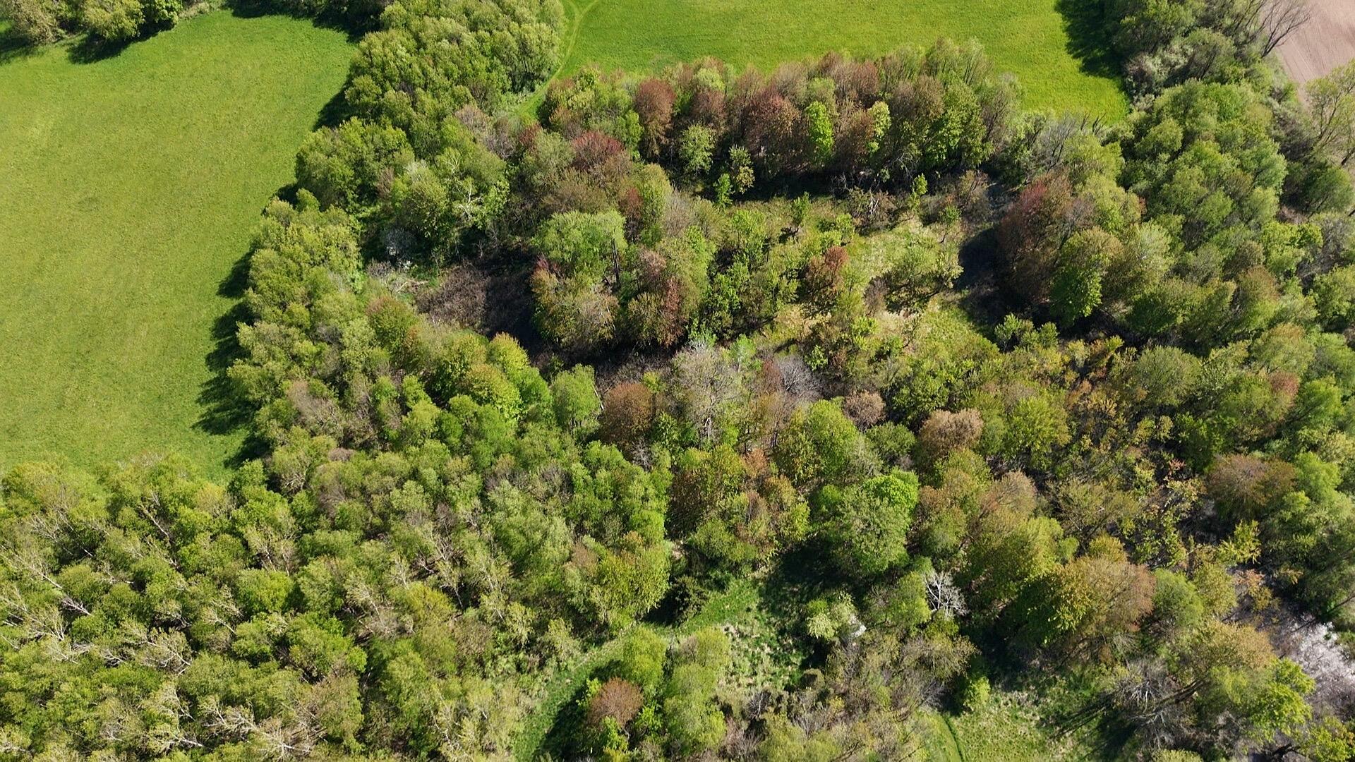 2665 East Wilson Road Custer, MI 49405 - Photo 6 of 19 Aerial