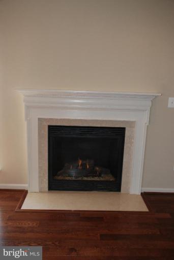 300 Appleby School Road Cambridge, MD 21613 - Photo 7 of 17 Fireplace