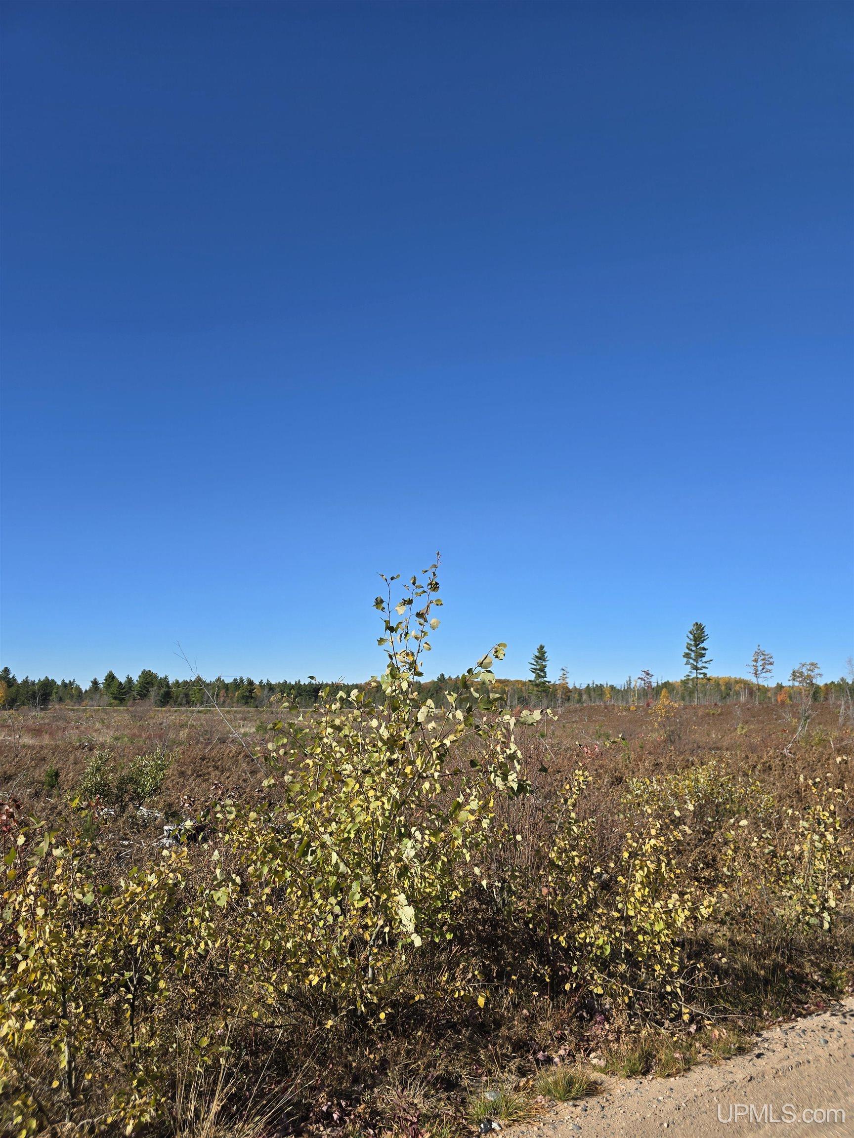 240-acres Co Rd Aaa Road Big Bay, MI 49808 - Photo 15 of 25