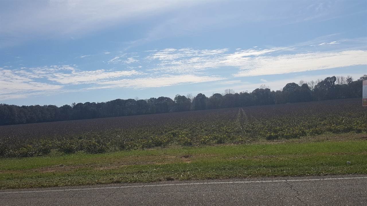 36 East County Road Summerdale, AL 36580 - Photo 4 of 7