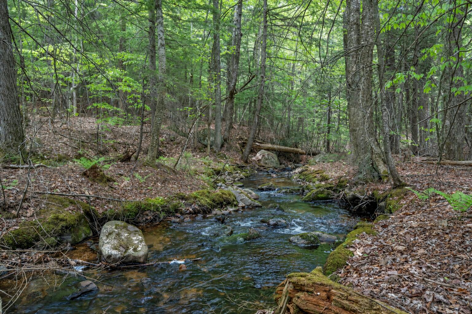 225 Hiram Hill Road Hiram, ME 04041 - Photo 16 of 24 Brook