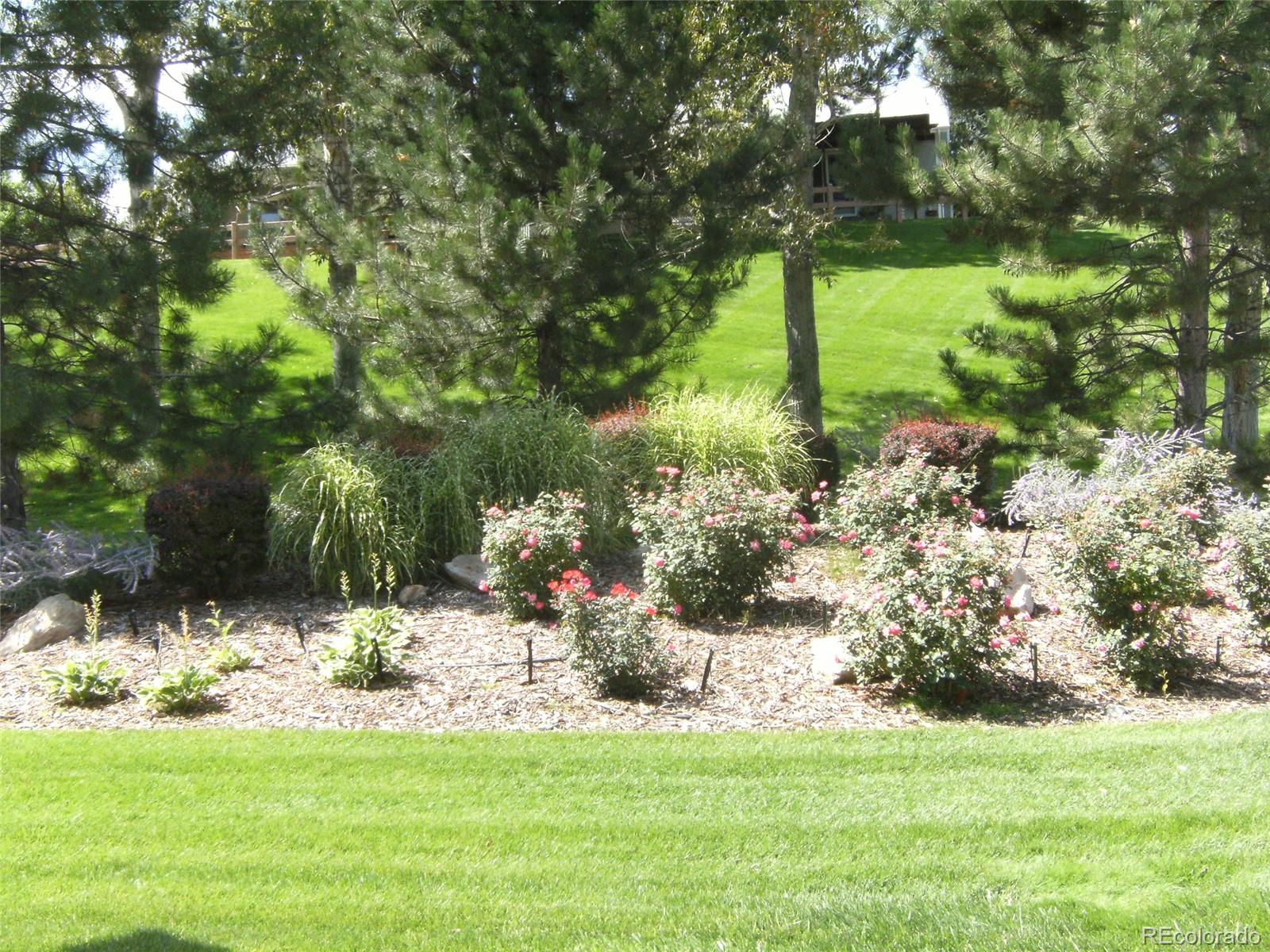 20 Sutherland Court Highlands Ranch, CO 80130 - Photo 29 of 44 Gallery Image 29