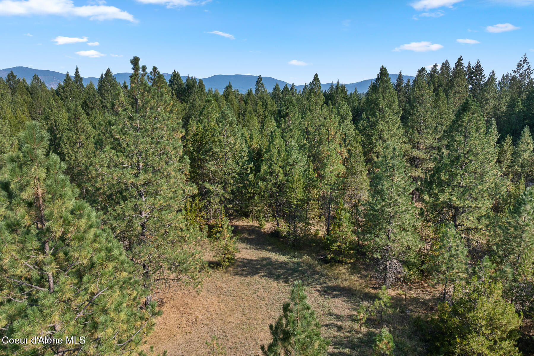 Nka East Arthur Road Athol, ID 83801 - Photo 11 of 16 Aerial_EArthurRdLot-8