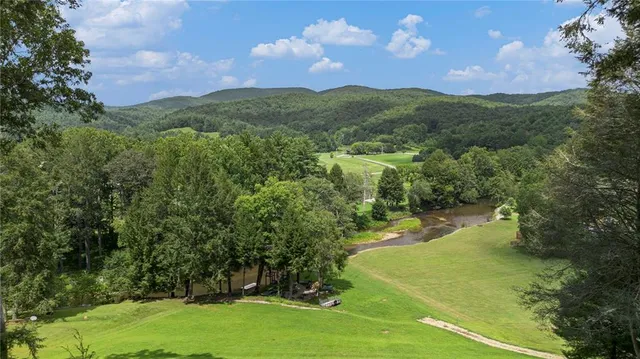 a view of a lake in a forest