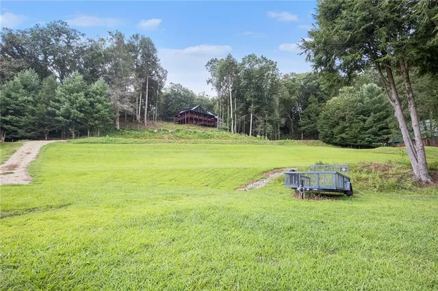 a view of a field with a tree in the background