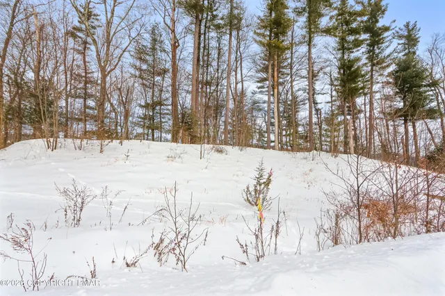 a view of snow on the road