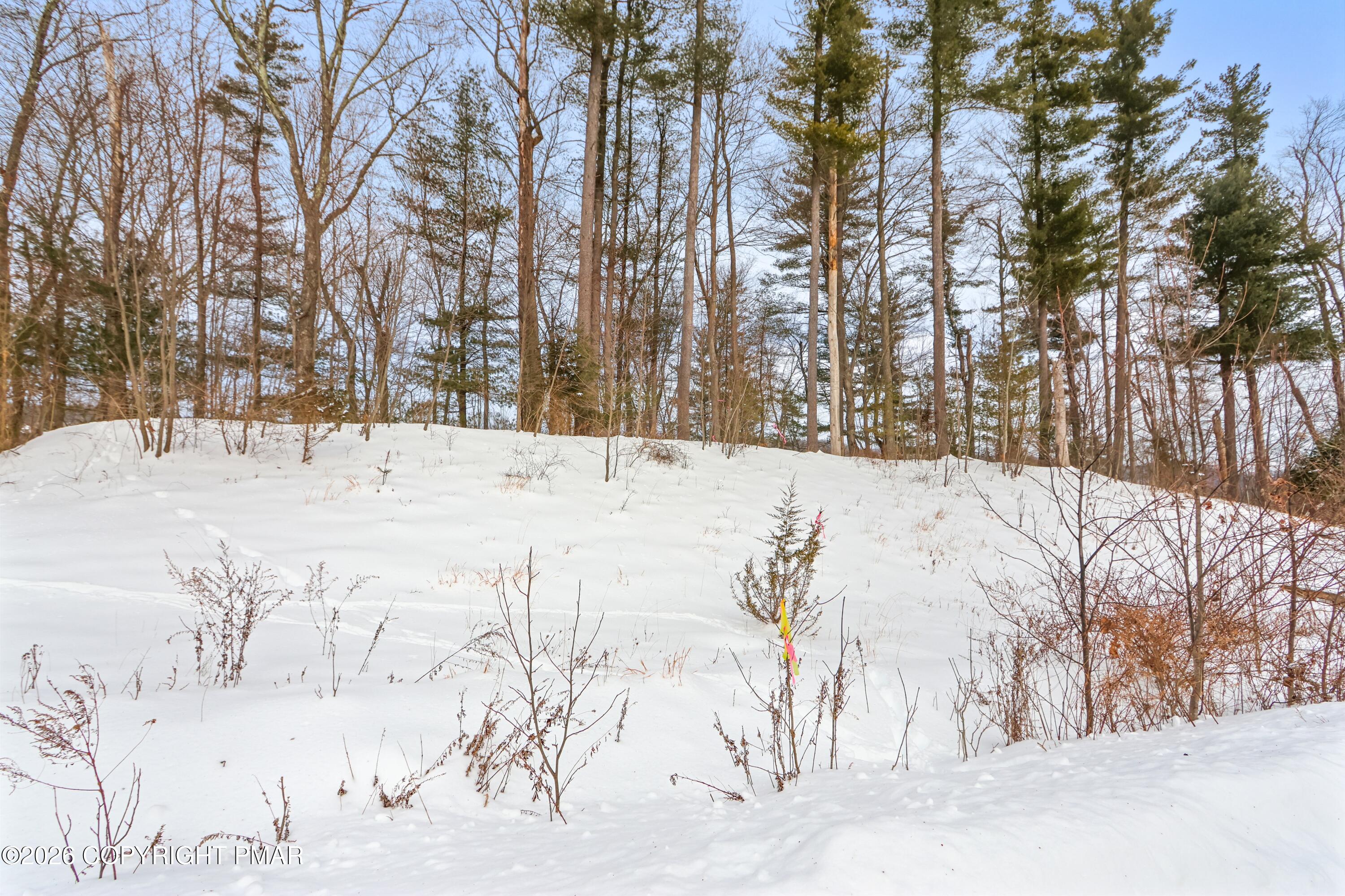 107 Rolling Hills Road Stroudsburg, PA 18360 - Photo 2 of 8 a view of snow on the road