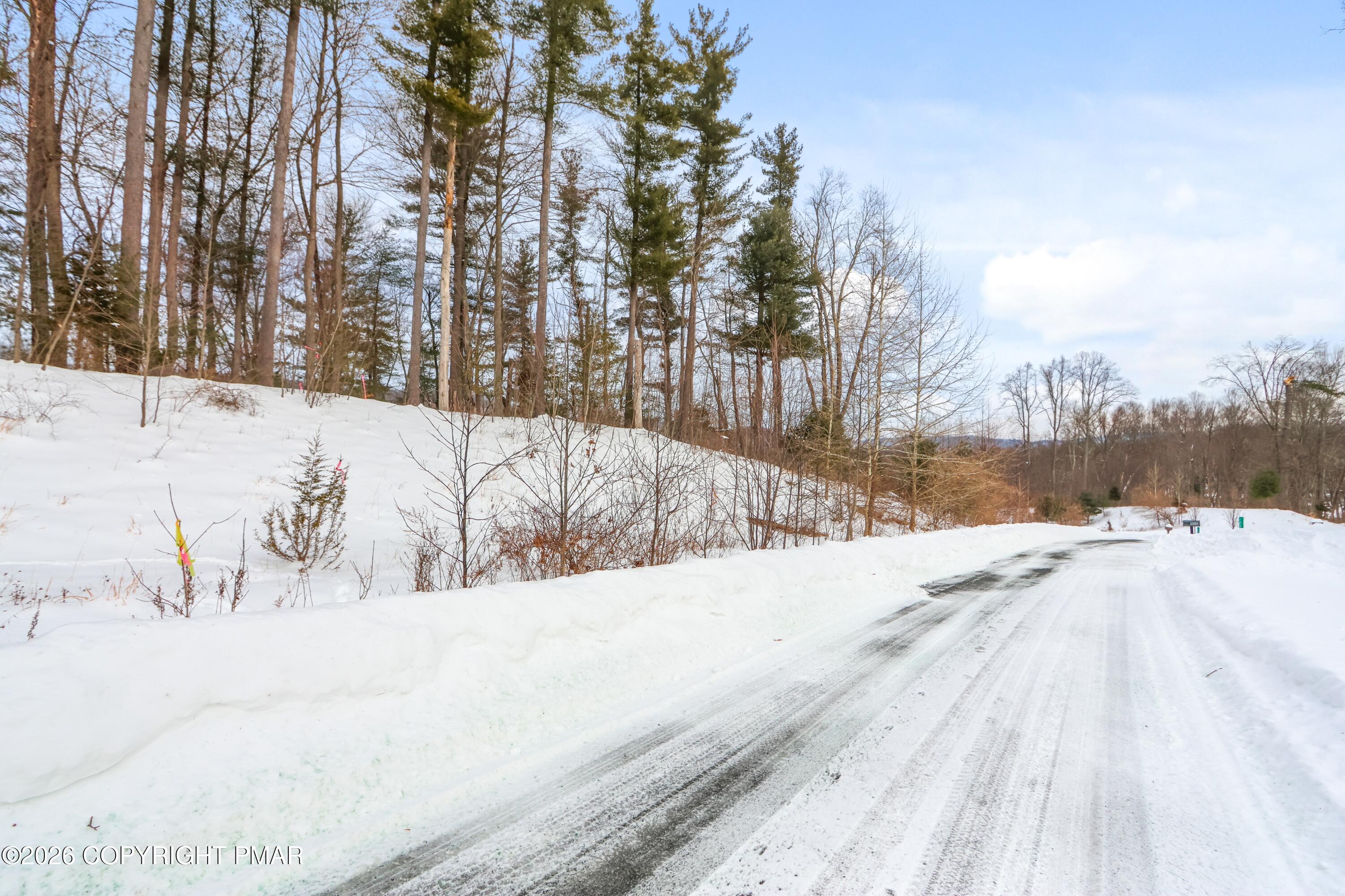 107 Rolling Hills Road Stroudsburg, PA 18360 - Photo 3 of 8 a view of a snow on the side of a road