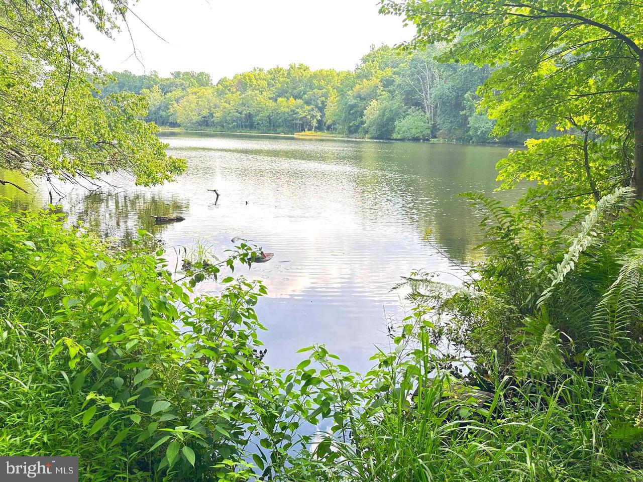 a view of a lake with a lake