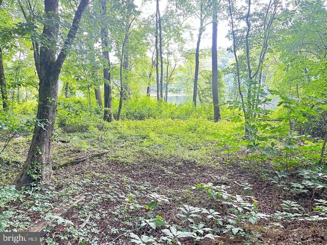 a big yard with lots of green space and trees