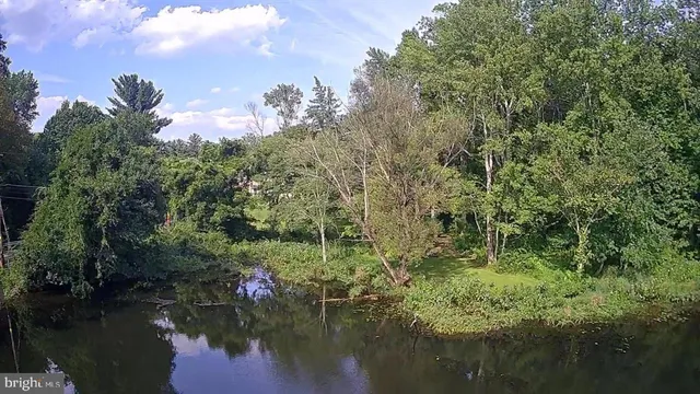 a view of backyard with tree