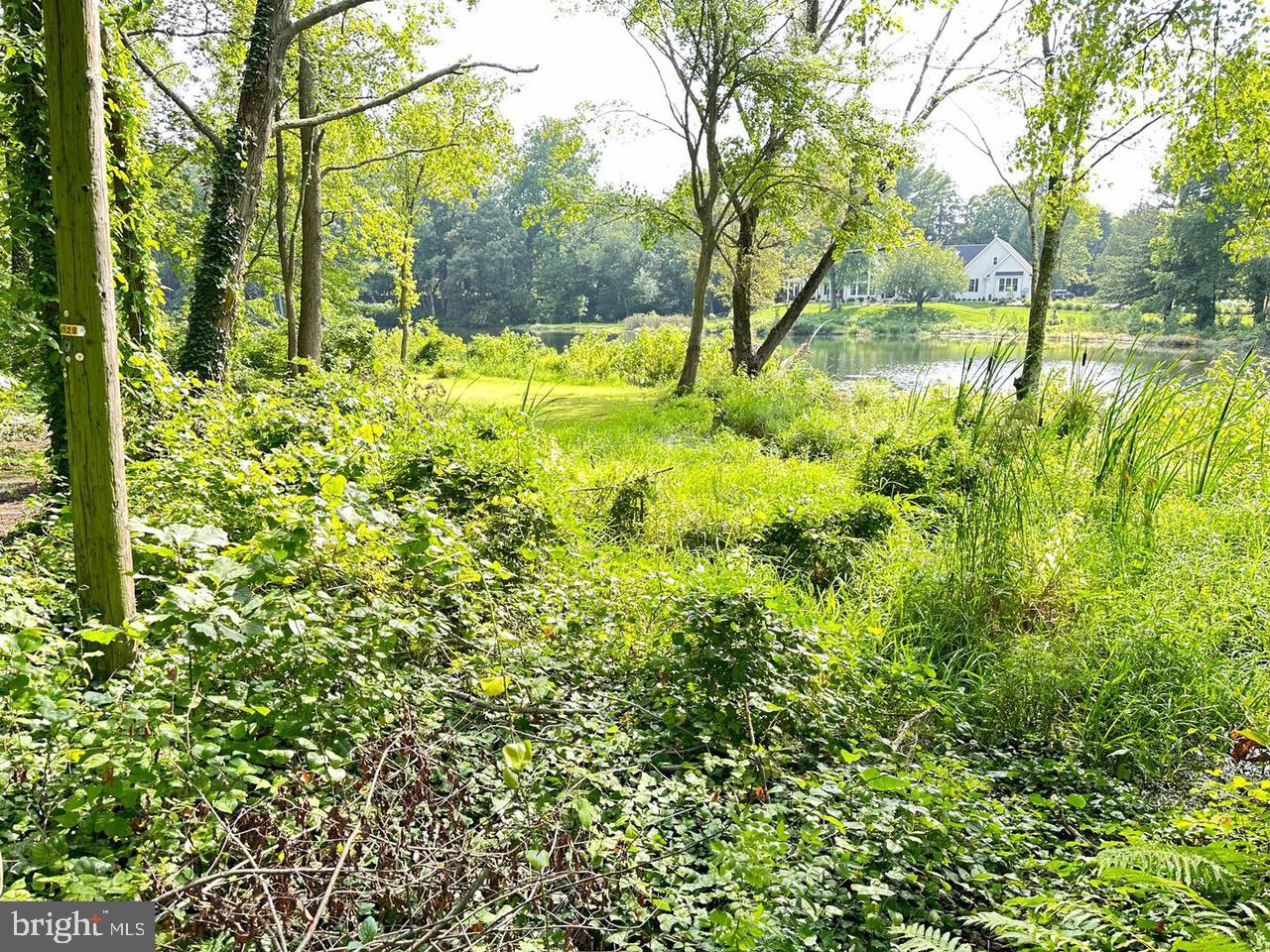 337 Ewan Road Mullica Hill, NJ 08062 - Photo 16 of 24 a view of backyard with tree