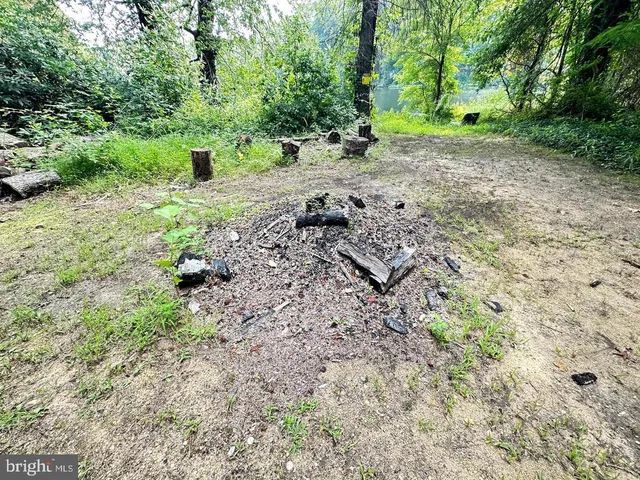 a view of a garden with an outdoor space