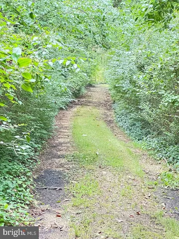 a backyard of a house with lots of trees