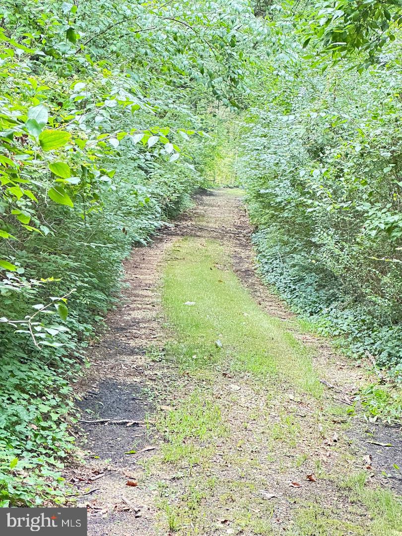 337 Ewan Road Mullica Hill, NJ 08062 - Photo 20 of 24 a view of a garden with an outdoor space