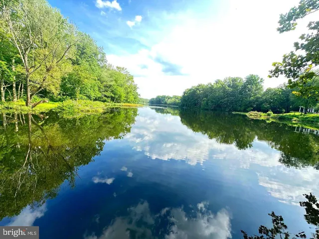 a view of a lake from a yard