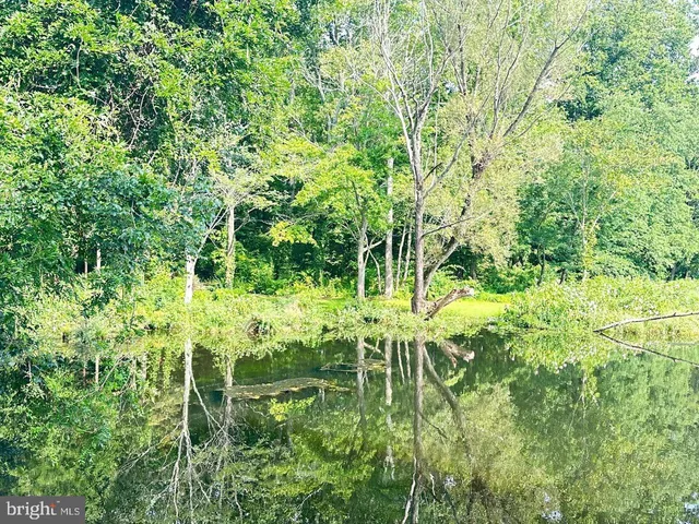 a view of a lake with houses in back
