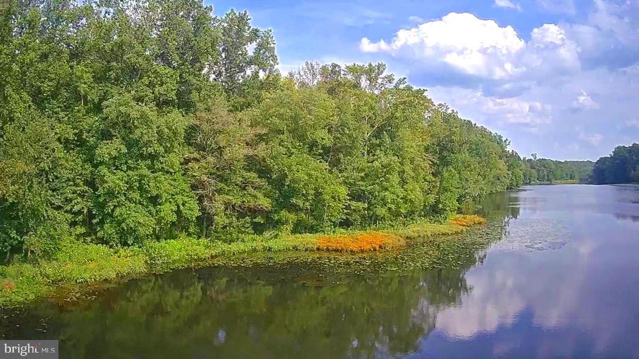 337 Ewan Road Mullica Hill, NJ 08062 - Photo 23 of 24 a view of a lake with a yard