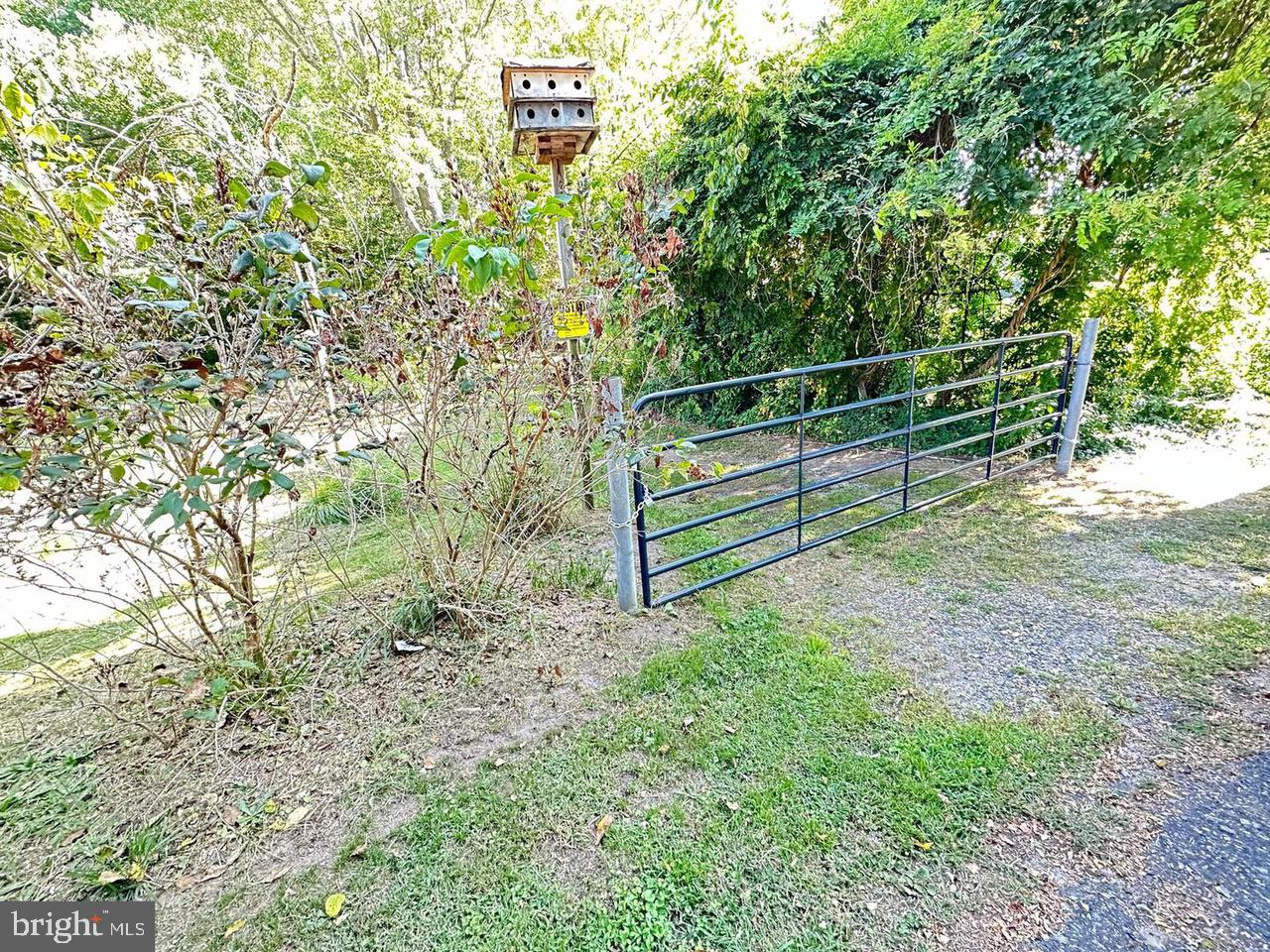 337 Ewan Road Mullica Hill, NJ 08062 - Photo 5 of 24 a view of a bench in a garden