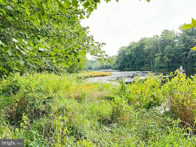a view of a swimming pool and trees in the background