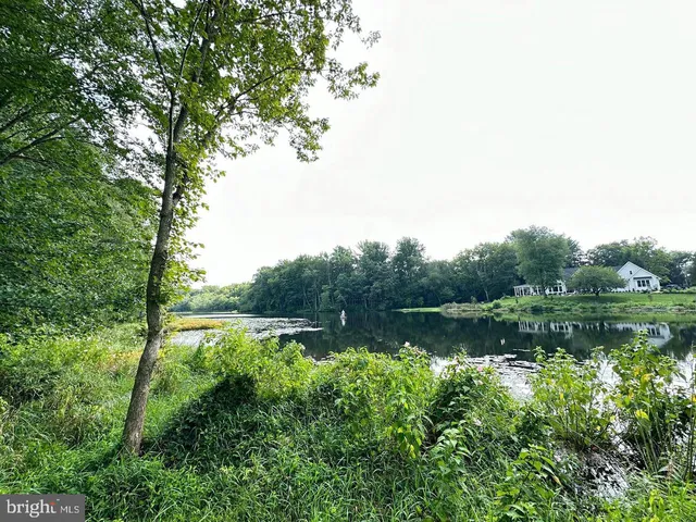 a view of a lake with a city