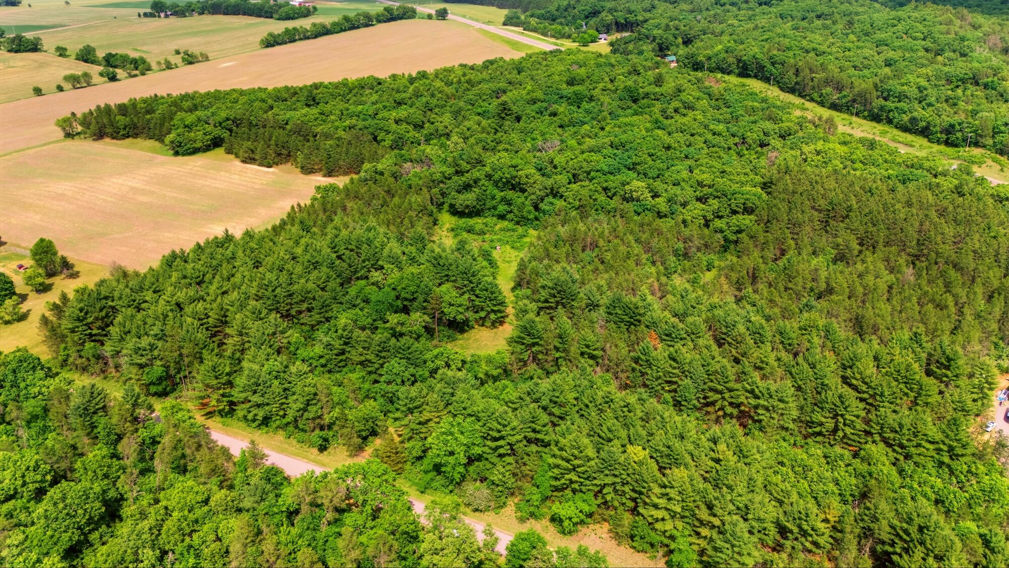 7020 Cardinal Road Little Falls, WI 54656 - Photo 6 of 18 024_dji_20260609151516_0098_d