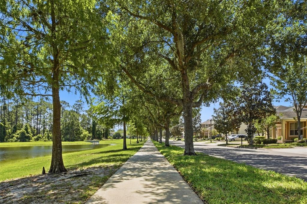 7519 Brofield Avenue Windermere, FL 34786 - Photo 46 of 49 a park with large trees