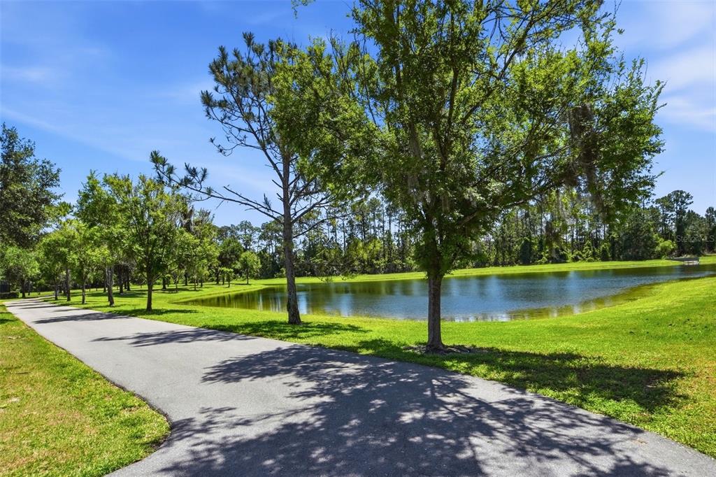 7519 Brofield Avenue Windermere, FL 34786 - Photo 47 of 49 a view of a park