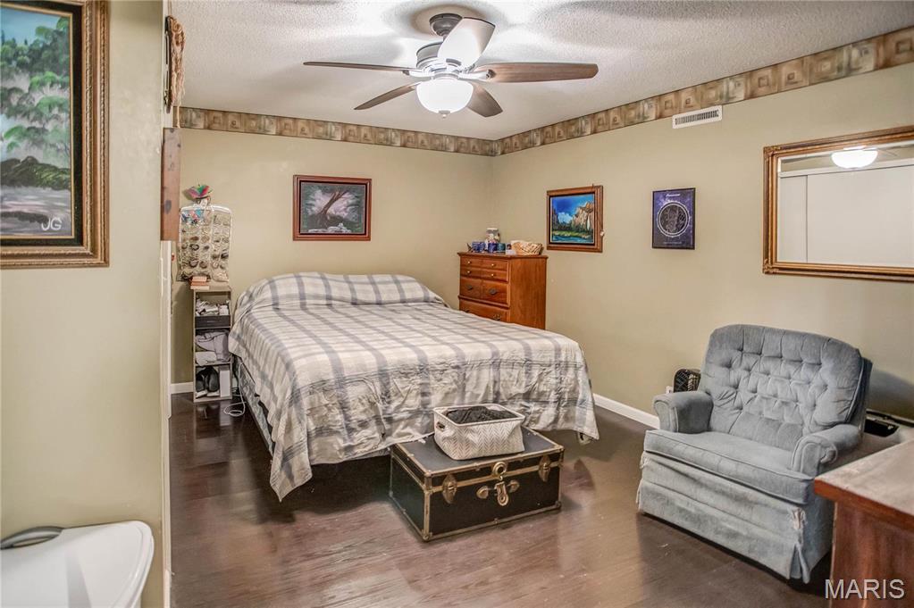 302 East Bay Street Pleasant Hill, IL 62366 - Photo 29 of 53