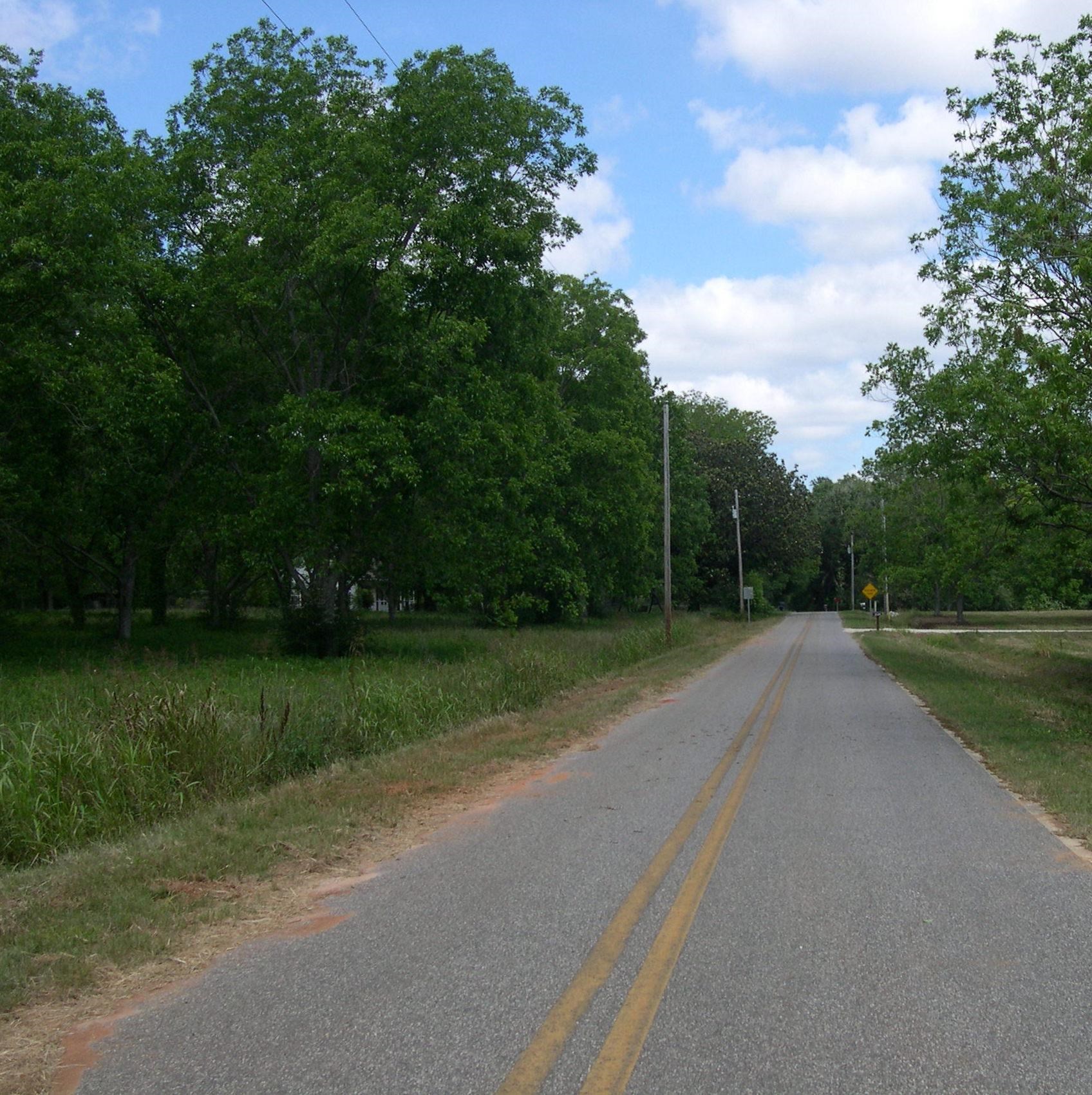 0 Engel Lane Foley, AL 36535 - Photo 3 of 5 Community