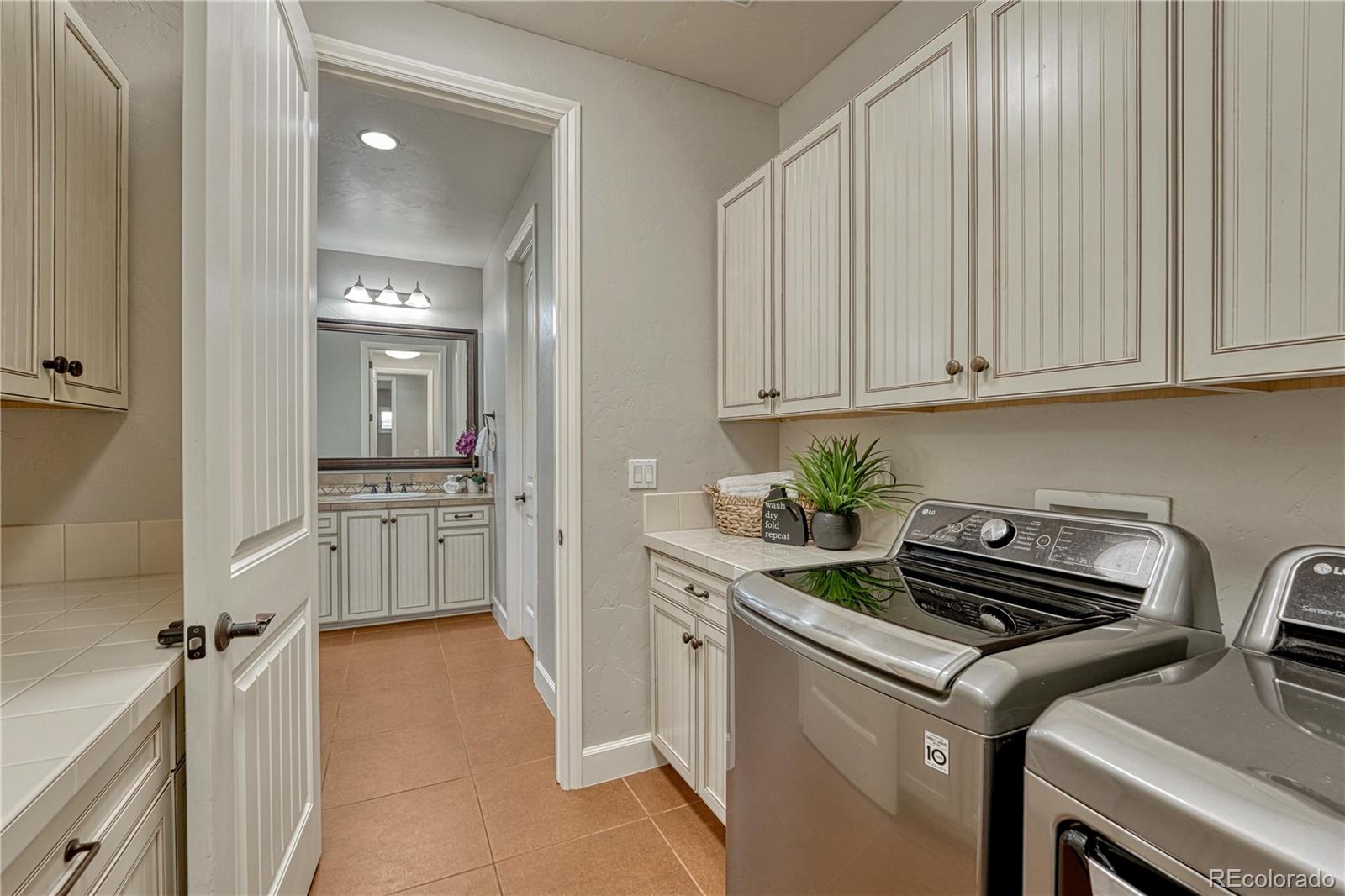 283 Maplehurst Drive Highlands Ranch, CO 80126 - Photo 24 of 50