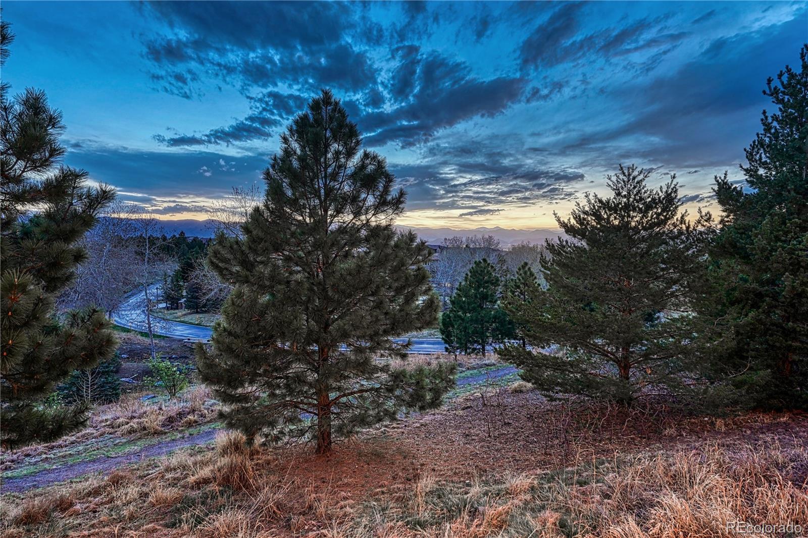 283 Maplehurst Drive Highlands Ranch, CO 80126 - Photo 42 of 50