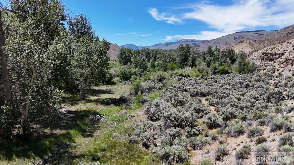 Tbd East Tbd E Fork Road Clayton, ID 83227 - Photo 21 of 28