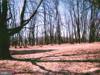 137 Charlestown Road Malvern, PA 19355 - Photo 3 of 3 Gallery Image 3