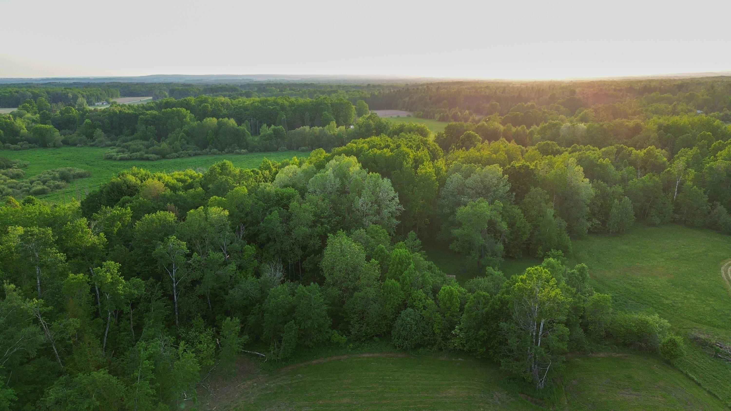3091 East Sage Lake Road Lupton, MI 48635 - Photo 10 of 49 2