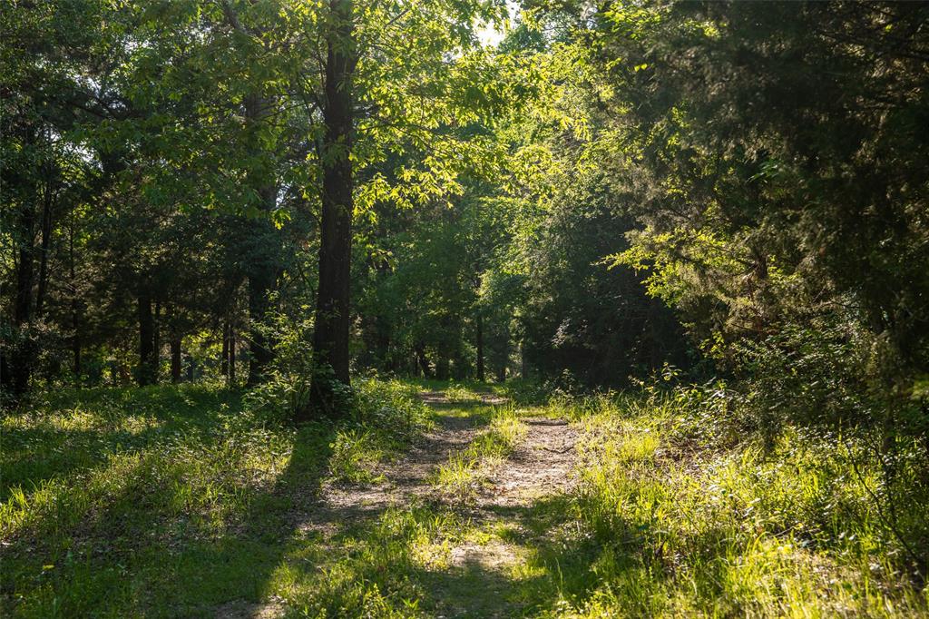 0 County Road 2402 Canton, TX 75103 - Photo 33 of 36 a view of a yard