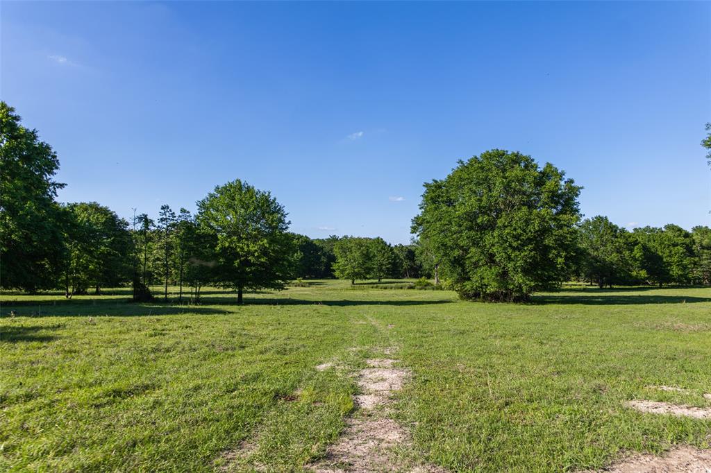 0 County Road 2402 Canton, TX 75103 - Photo 35 of 36 a view of a golf course with a lake