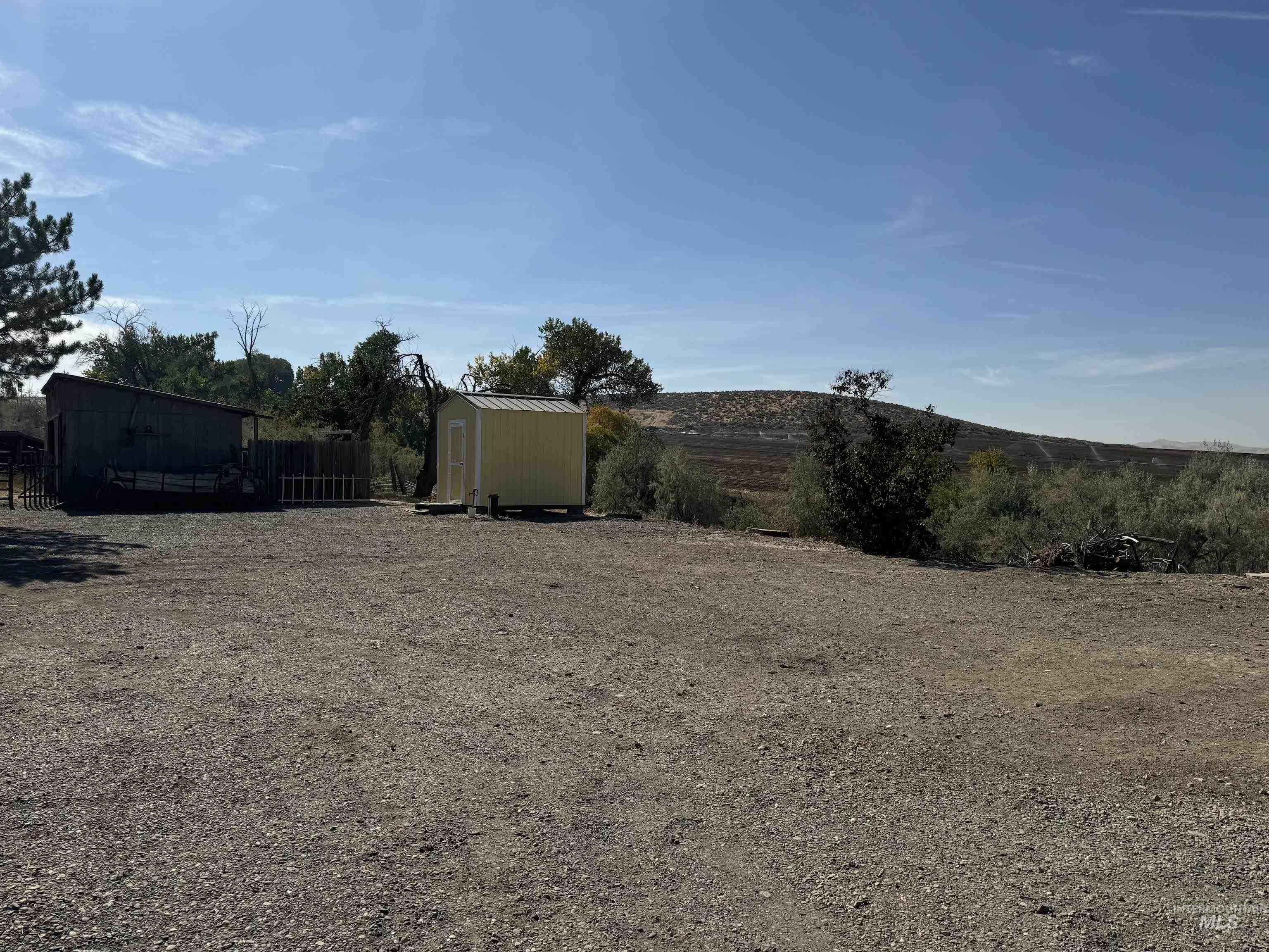 729 Morgan Avenue Ontario, OR 97914 - Photo 14 of 49 View of yard with a storage unit