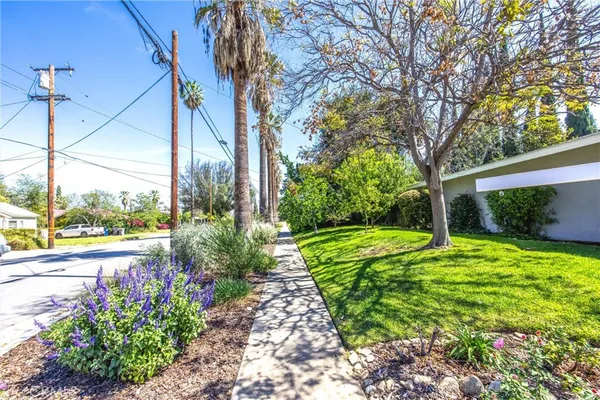 a view of a backyard with plants