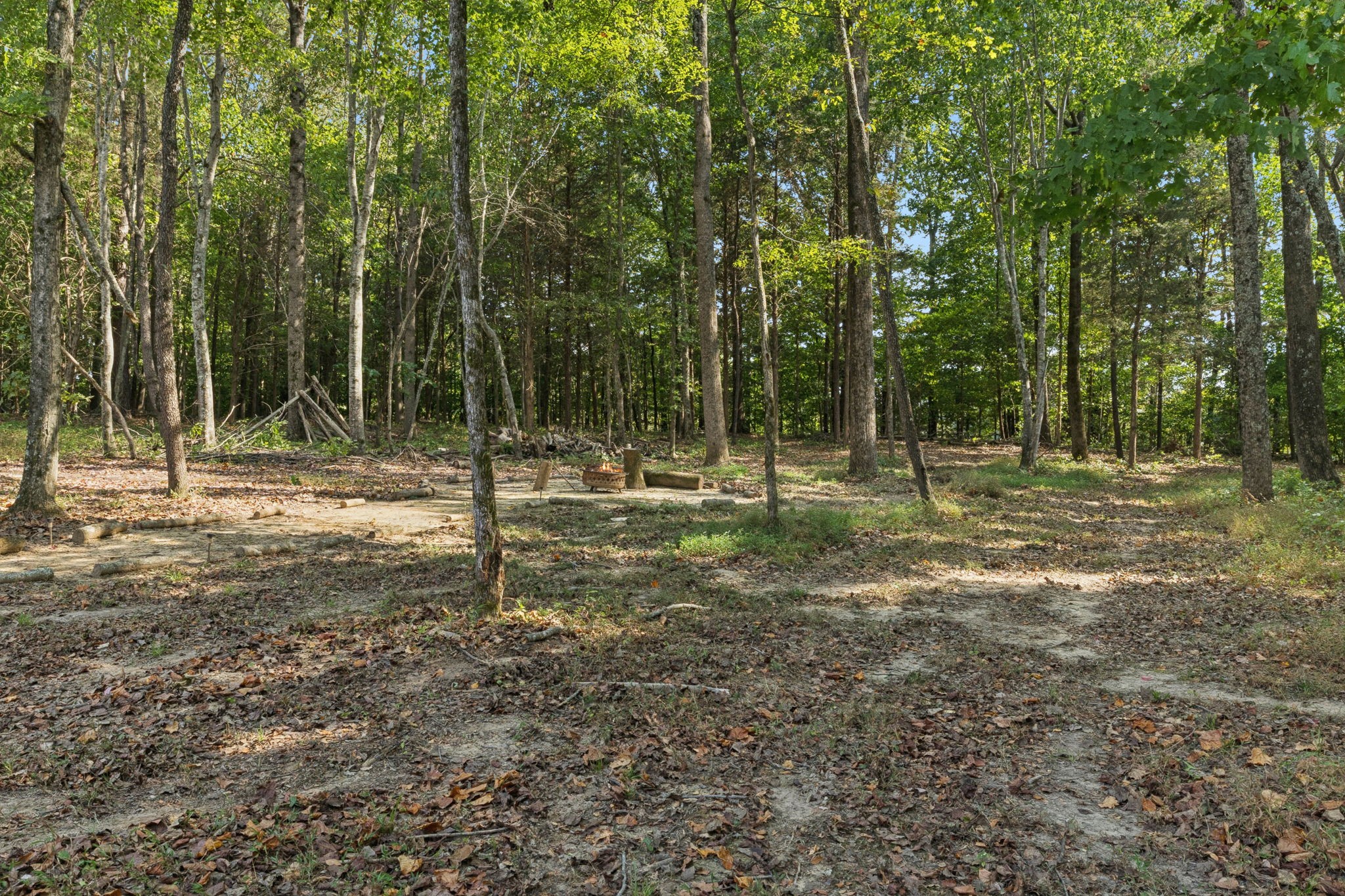 2070 Kizer Ridge Road Erin, TN 37061 - Photo 36 of 56 Gallery Image 36
