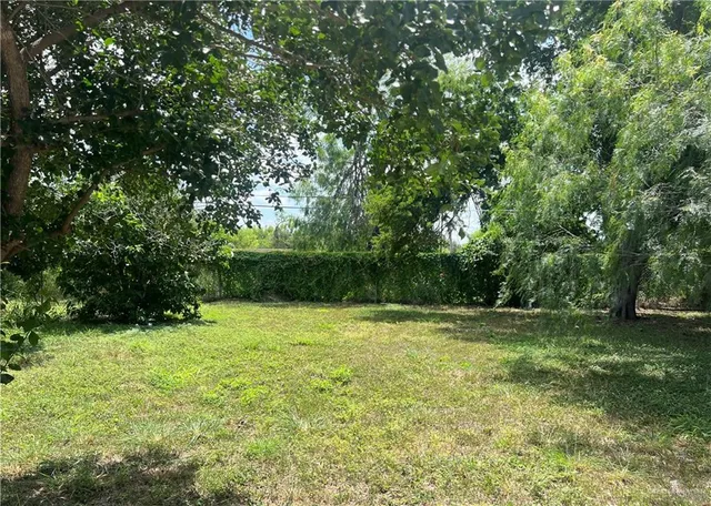 a view of a field with a trees in the background
