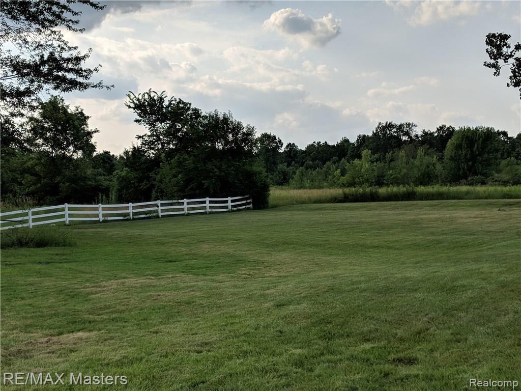 27754 Arsenal Road Flat Rock, MI 48134 - Photo 43 of 57 Yard 2