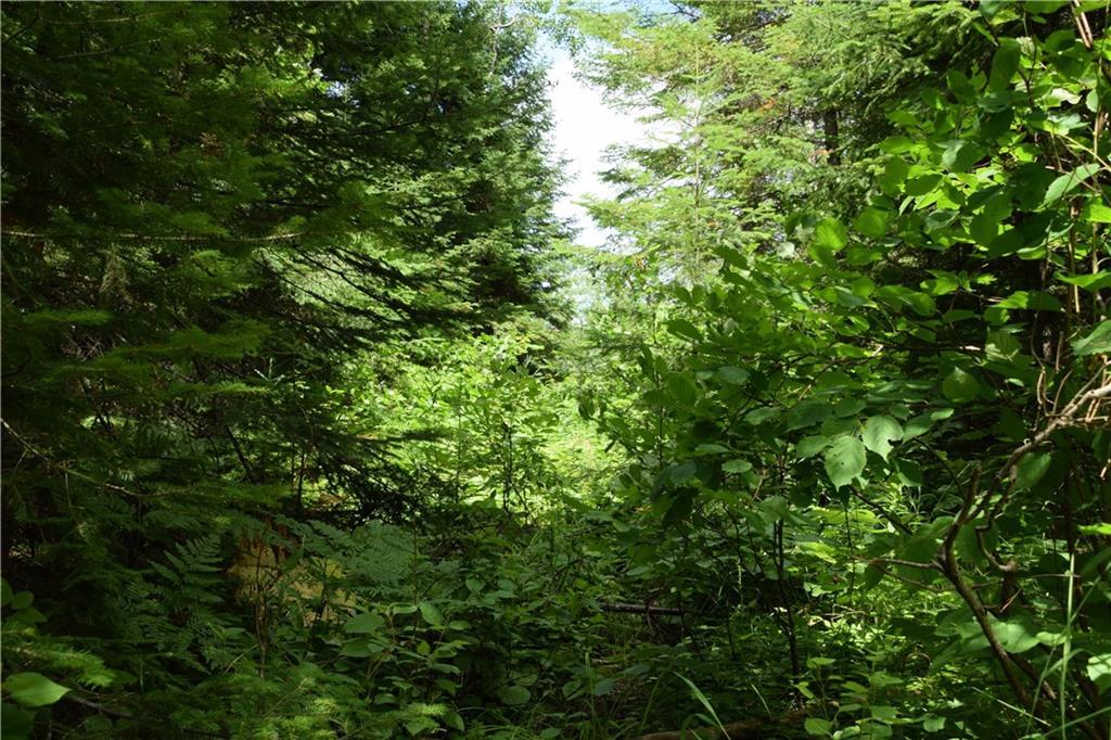 0 Jemtland Road Caribou, ME 04736 - Photo 3 of 17 Land