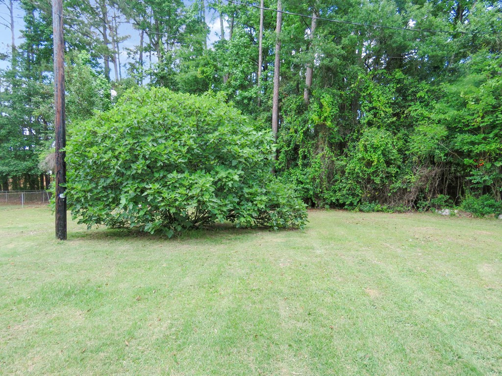 540 Arrowwood Road Columbia, SC 29210 - Photo 3 of 14 Photo 3