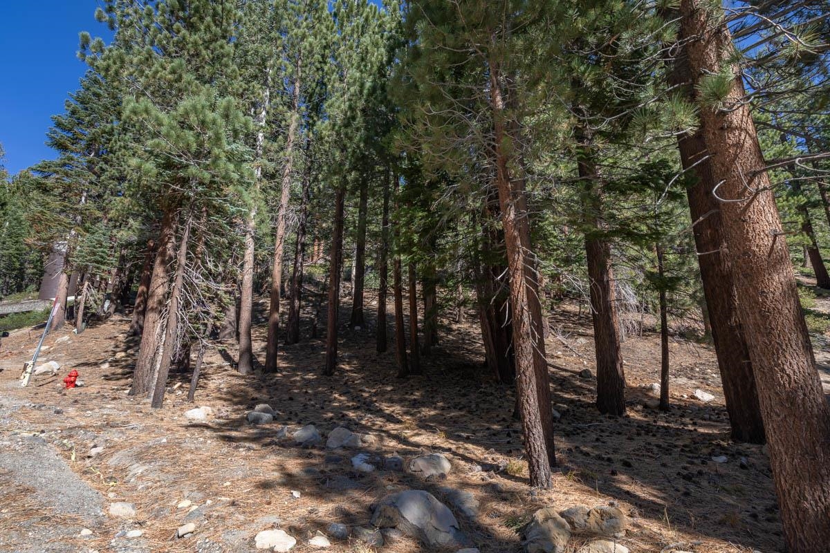 158 Grindelwald Road Mammoth Lakes, CA 93546 - Photo 18 of 24 Gallery Image 18