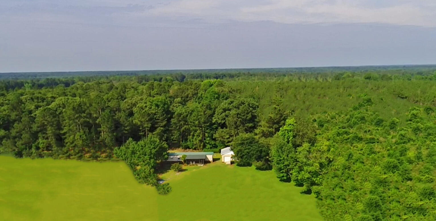7133 Cameron Road Cameron, SC 29030 - Photo 21 of 31 Master Bd 2