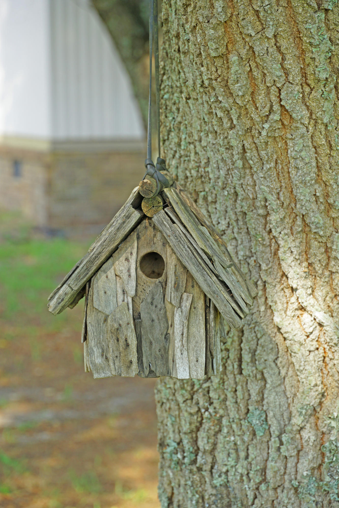 7133 Cameron Road Cameron, SC 29030 - Photo 29 of 31 Bird House 1