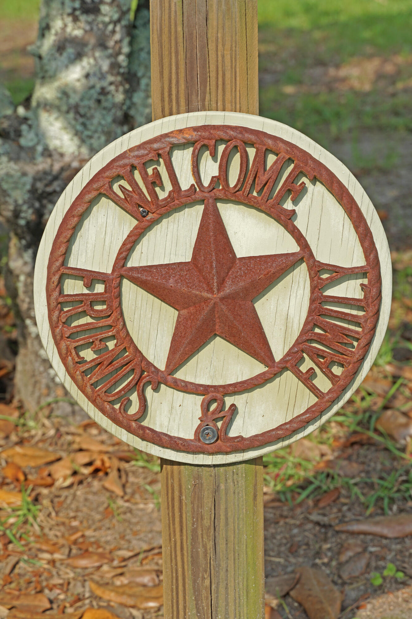 7133 Cameron Road Cameron, SC 29030 - Photo 4 of 31 7133 Cameron Garage Final